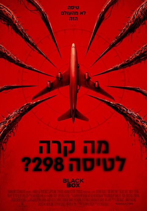 מה קרה לטיסה 298?